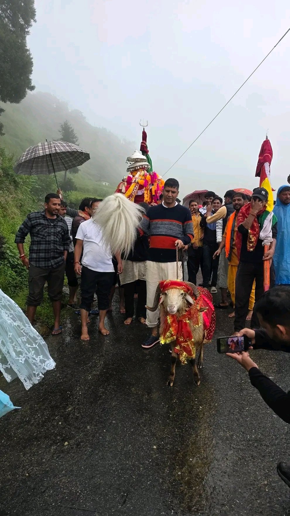 नंदा देवी राजजात यात्रा से जुड़ा चार सींगों वाला चौसिंग्या खाडू
